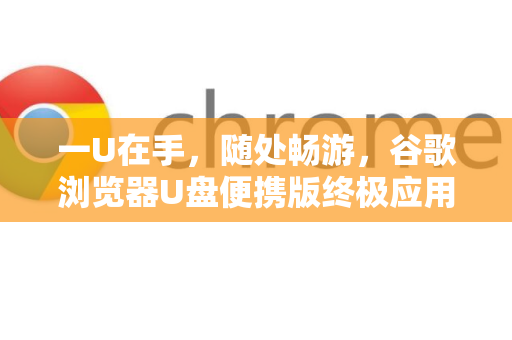 一U在手，随处畅游，谷歌浏览器U盘便携版终极应用指南