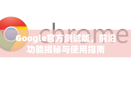 Google官方测试版，前沿功能揭秘与使用指南