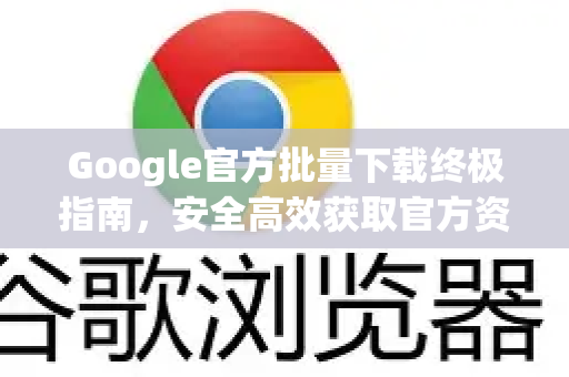 Google官方批量下载终极指南，安全高效获取官方资源