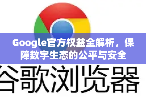 Google官方权益全解析，保障数字生态的公平与安全