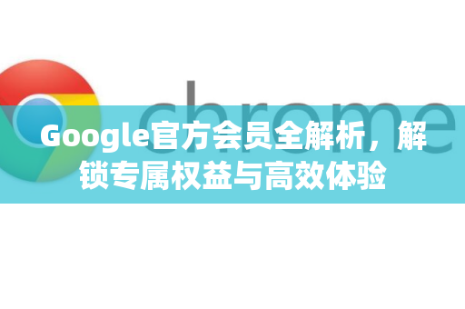 Google官方会员全解析，解锁专属权益与高效体验