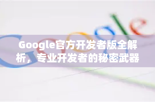 Google官方开发者版全解析，专业开发者的秘密武器