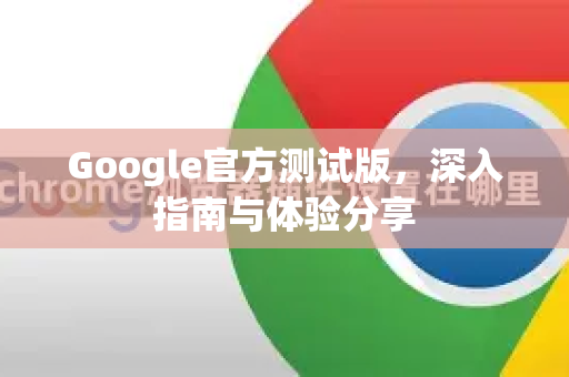 Google官方测试版，深入指南与体验分享