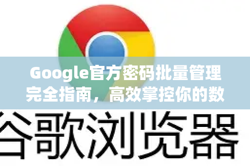 Google官方密码批量管理完全指南，高效掌控你的数字身份-第1张图片-谷歌浏览器 (Google Chrome)官方下载_免费安全浏览器