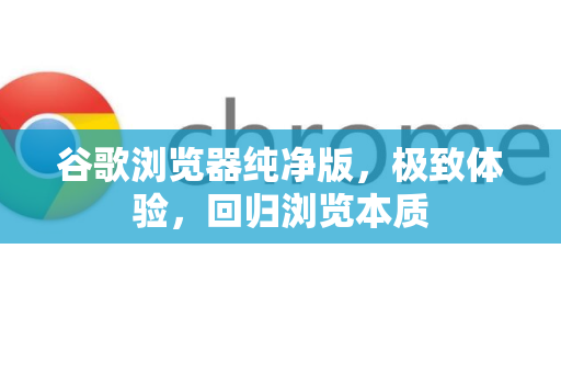 谷歌浏览器纯净版，极致体验，回归浏览本质