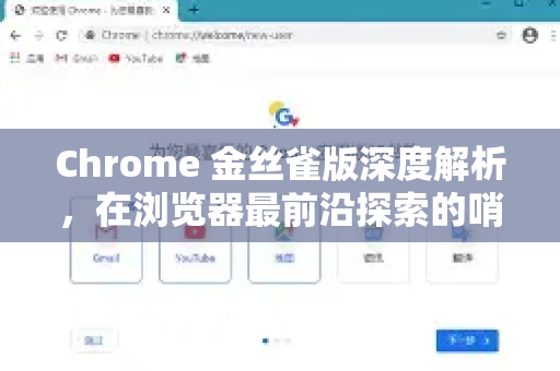 Chrome 金丝雀版深度解析，在浏览器最前沿探索的哨兵