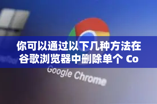 你可以通过以下几种方法在谷歌浏览器中删除单个 Cookie