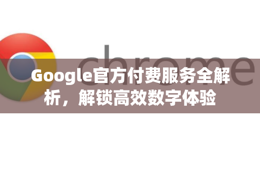 Google官方付费服务全解析，解锁高效数字体验