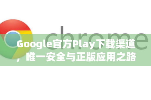 Google官方Play下载渠道，唯一安全与正版应用之路