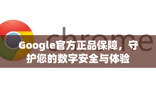 Google官方正品保障，守护您的数字安全与体验